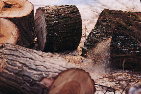 Lumberjack woodcutter with chainsaw in uniform cutting a massive tree in the winter forest, logger...