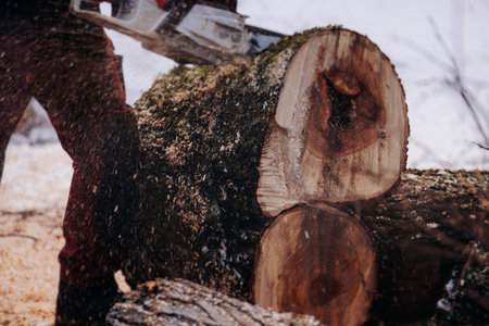 Lumberjack woodcutter with chainsaw in uniform cutting a massive tree in the winter forest, logger...