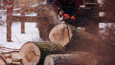 Lumberjack woodcutter with chainsaw in uniform cutting a massive tree in the winter forest, logger...