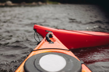 Kayaking in the lake, colorful canoe kayak boat paddling, canoeing in river, scandinavian skerries landscape, group of tourists athletes in kayaks floating, kayakers rowing during water sports tour