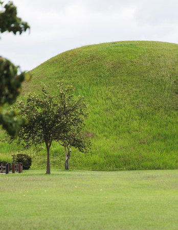 Daereungwon Tomb Complex in a sunny day, Gyeongju, South Korea, tumulus royal imperial Silla dynasty tombs, mound green grassy hill, North Gyeongsang Province, Gyeongju city view, Yeongnam region