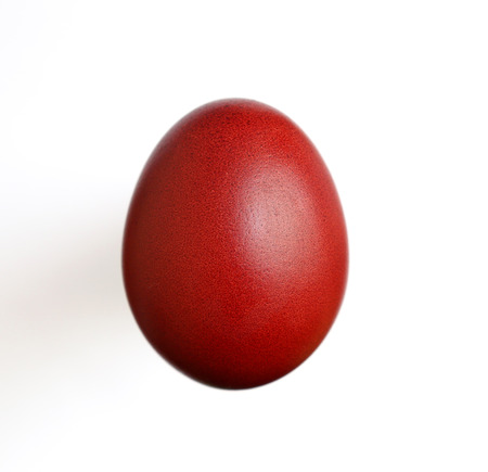 Red Egg on the white backgroundの写真素材