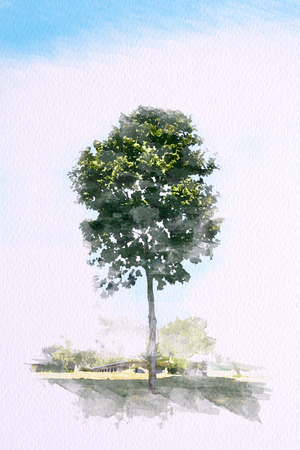 Watercolor of Green tree with blue sky. Illustrationの写真素材
