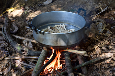 Firewood, cooked food Living in the woods using firewood.の写真素材