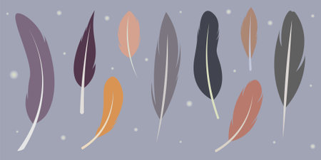 Set of multi-colored cartoon flat feathers. Variations of decorative feathers for decoration, textiles or abstractions related to birdsのイラスト素材