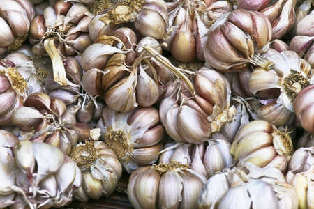 Colourful garlic clovesの写真素材