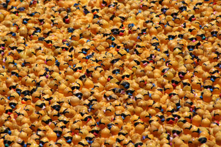 Huge crowd of rubber ducks in the Singapore Duck Race.の写真素材