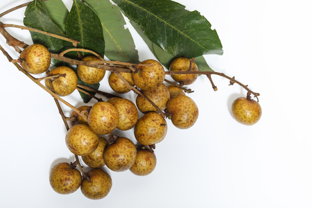 Longan fruit (Dimocarpus longan) isolated on white background, bunch of longan with leafの写真素材