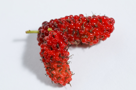 Two mulberries (Morus indica) on white backgroundの写真素材