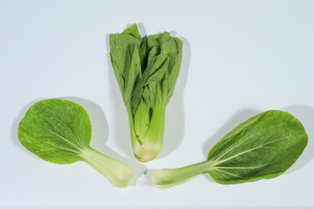 Bok choy (Brassica rapa) from the garden, isolated on white backgroundの写真素材