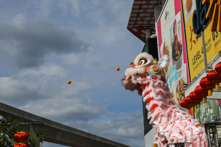 Petaling Jaya, Malaysia. Jan 1, 2017. Acrobatic Lion Dance performance during New Year day, Lion distributing Mandarin oranges,のeditorial素材