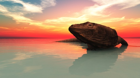 goannaの写真素材