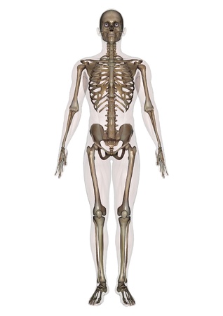 male lay figureの写真素材