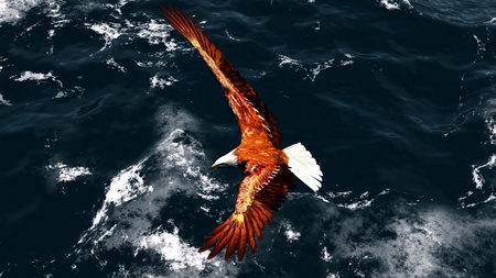 bald eagleの写真素材