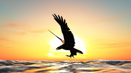 eagleの写真素材