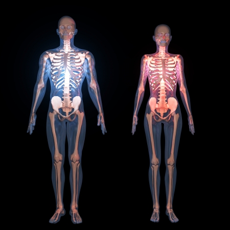 skeleton skeleton