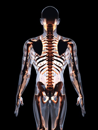 skeleton の写真素材