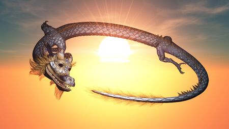 dragon の写真素材