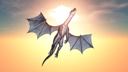 dragon の写真素材