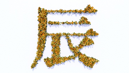 è¾°の写真素材