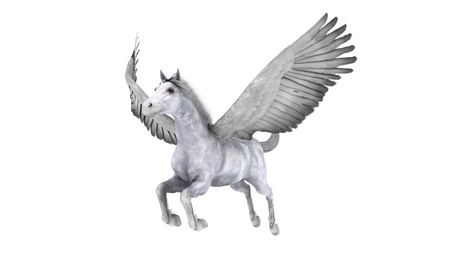 pegasusの写真素材