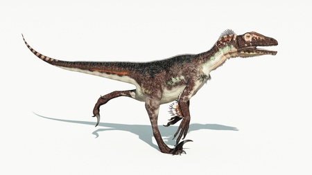 dinosaurの写真素材