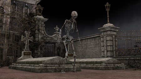 skeleton の写真素材