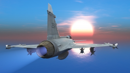 fighter