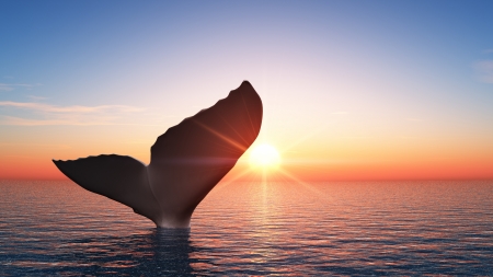 whale