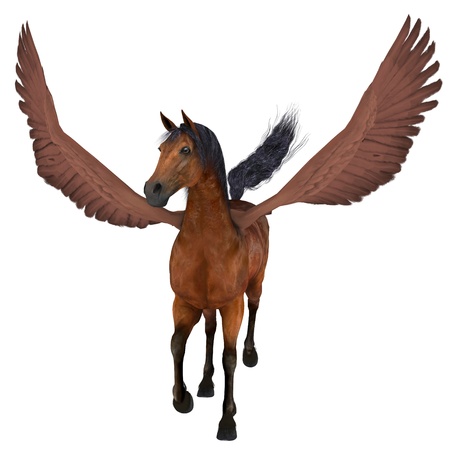 Pegasusの写真素材