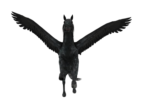 pegasusの写真素材