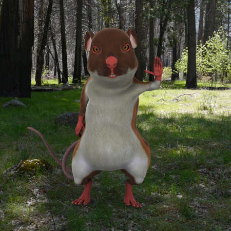 desertの写真素材