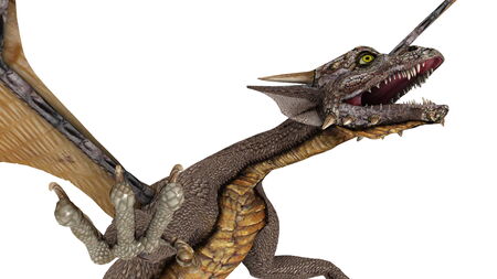 dragon の写真素材