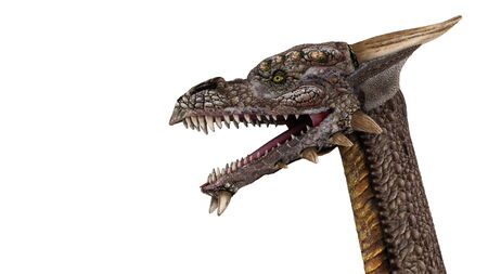 dragon の写真素材