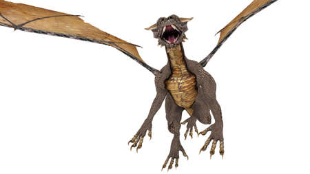 dragon の写真素材