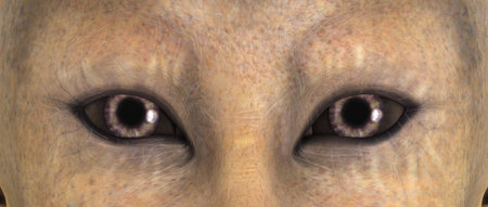 woman s eyes