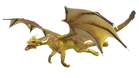 dragonの写真素材