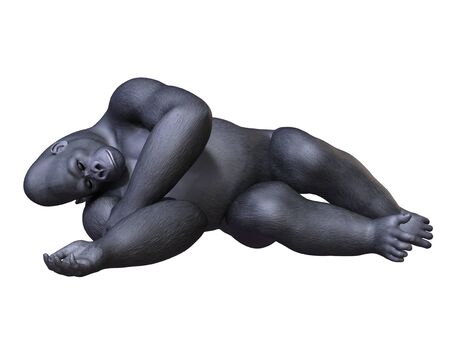 gorillaの写真素材