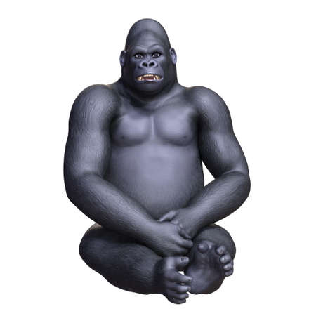 gorillaの写真素材