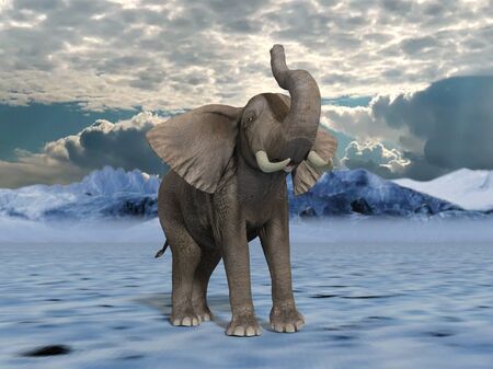 elephantの写真素材