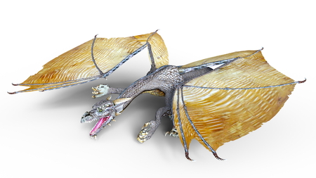 dragonの写真素材