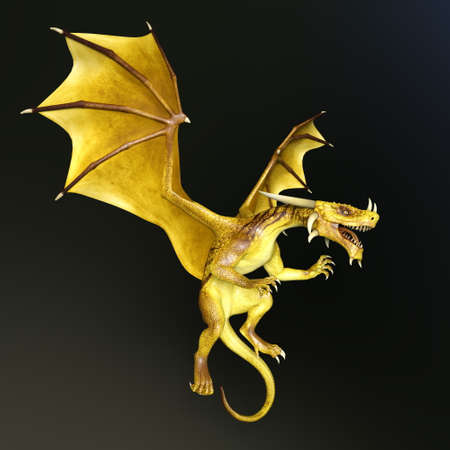 dragonの写真素材