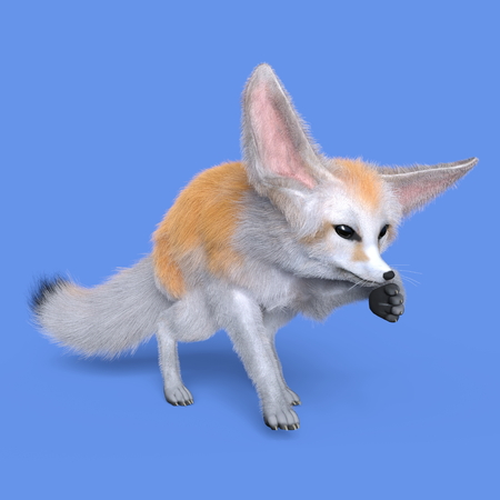 fennecの写真素材