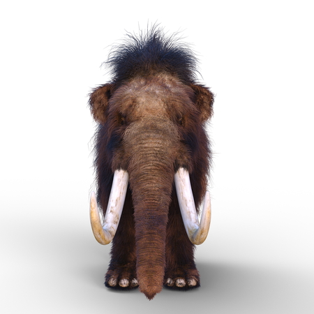 mammothの写真素材