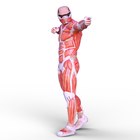 muscle heroの写真素材
