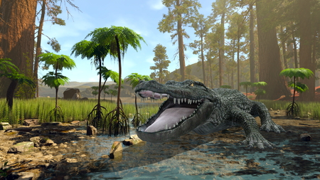 crocodileの写真素材