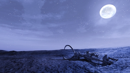 desertの写真素材