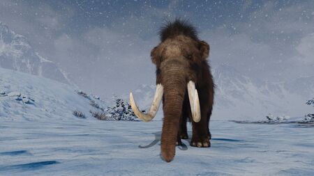 mammothの写真素材