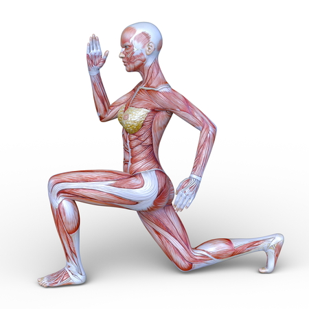 3D CG rendering of muscle womanの写真素材