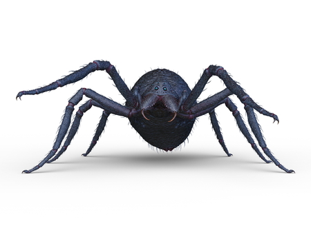 3D CG rendering of spiderの写真素材
